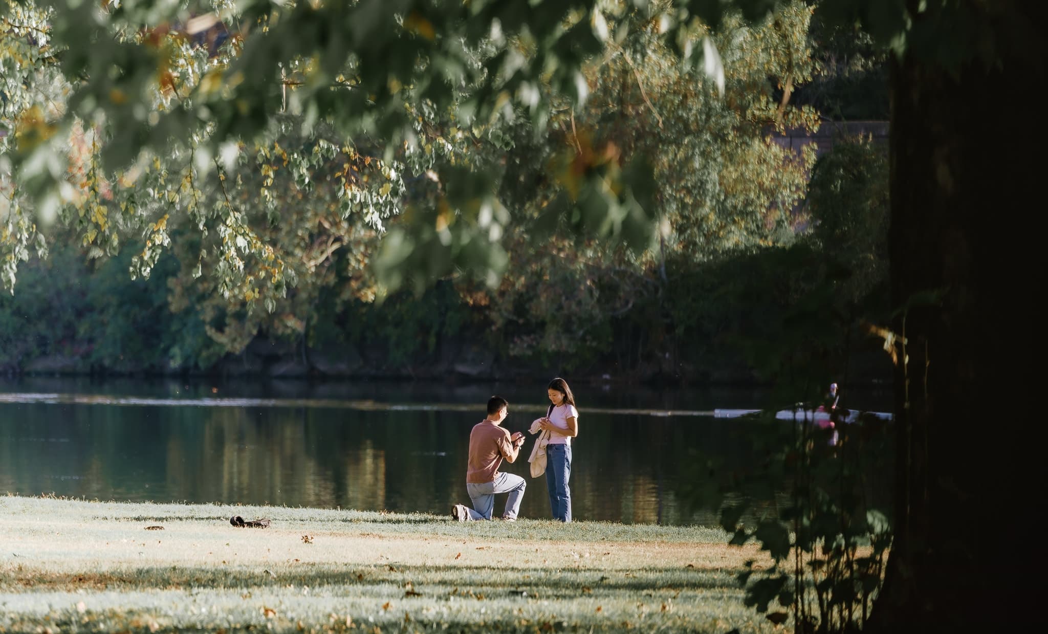 A proposal by the water, framed by overhanging branches