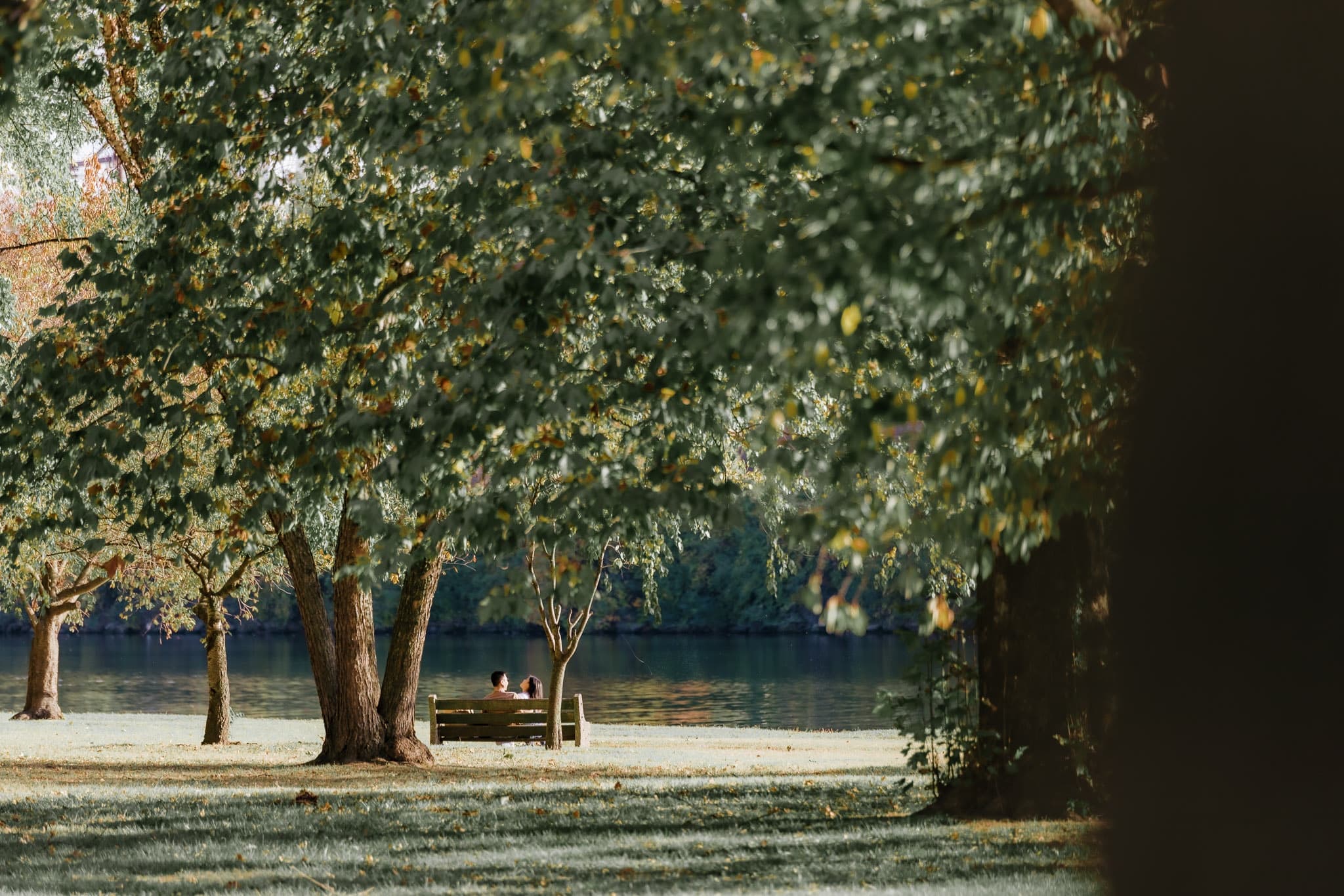 Couple sitting on a bench by the lake beneath the trees
