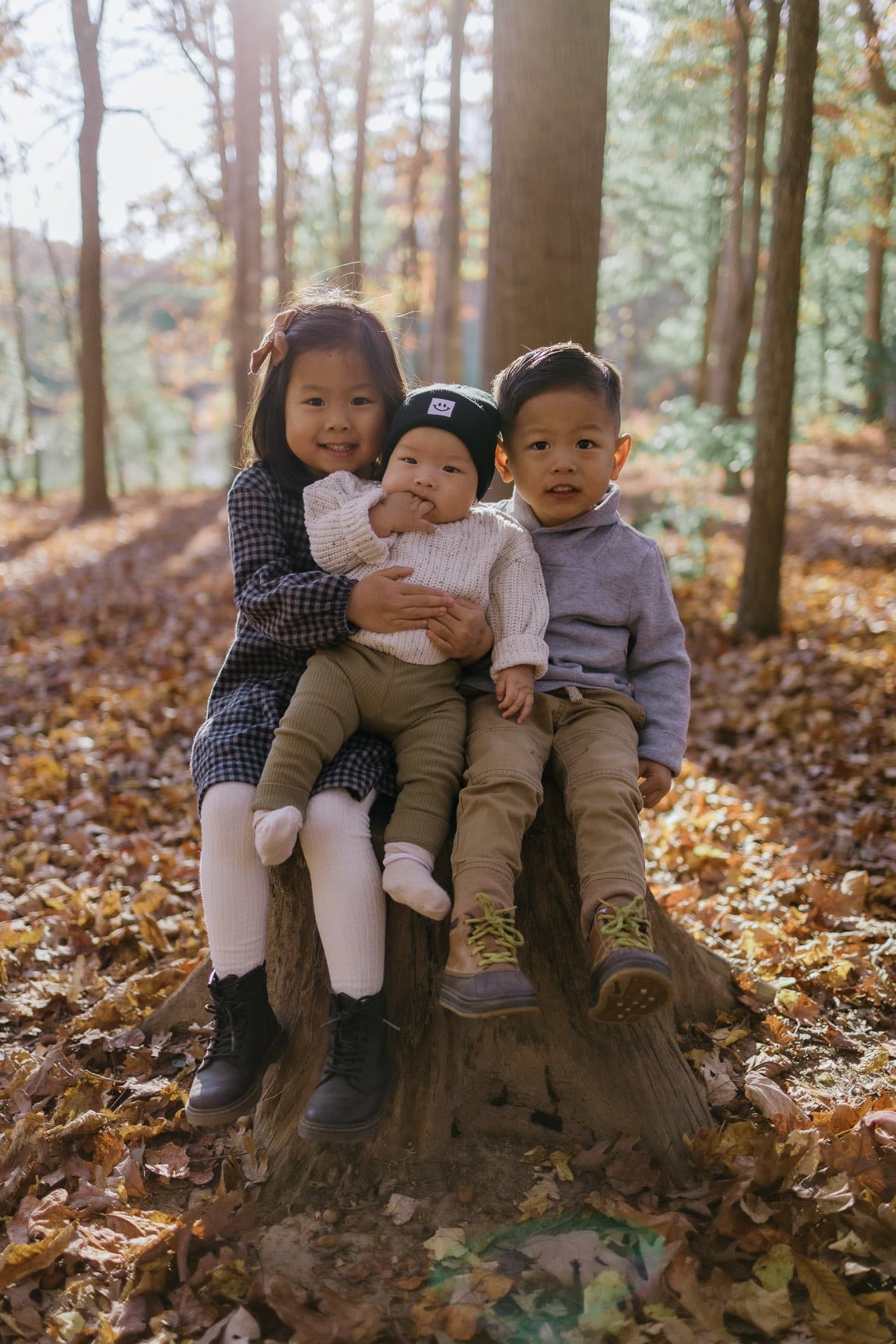 Three siblings sitting together on a tree stump
