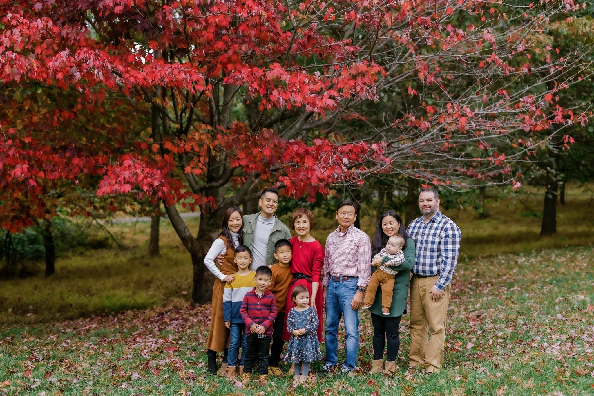 Extended family gathered beneath a red autumn tree