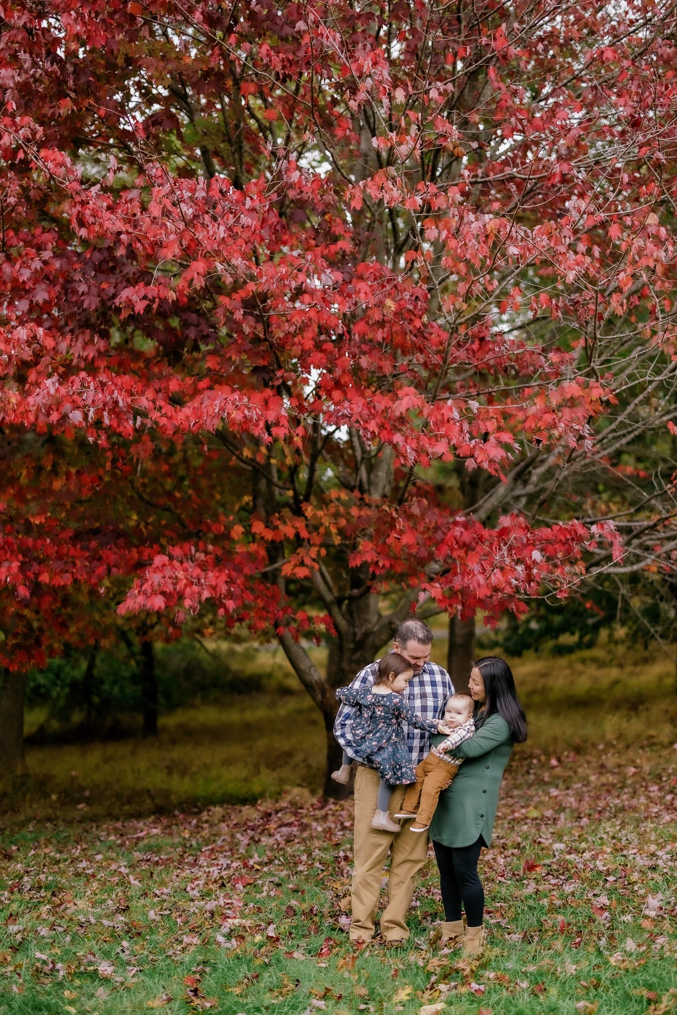 Couple and child under a red maple tree