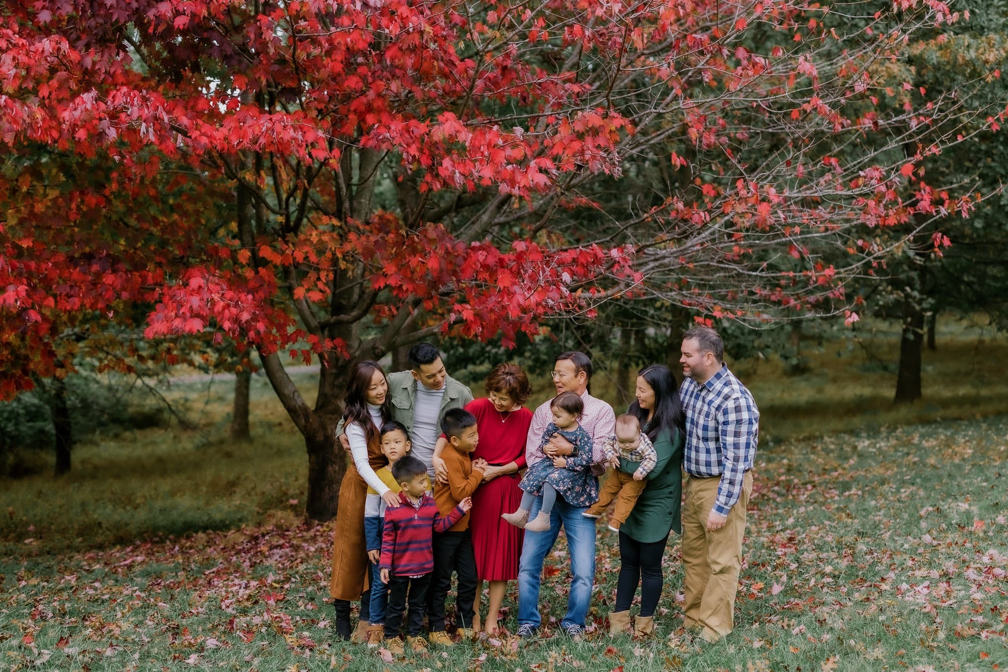 Extended family laughing beneath a red autumn tree