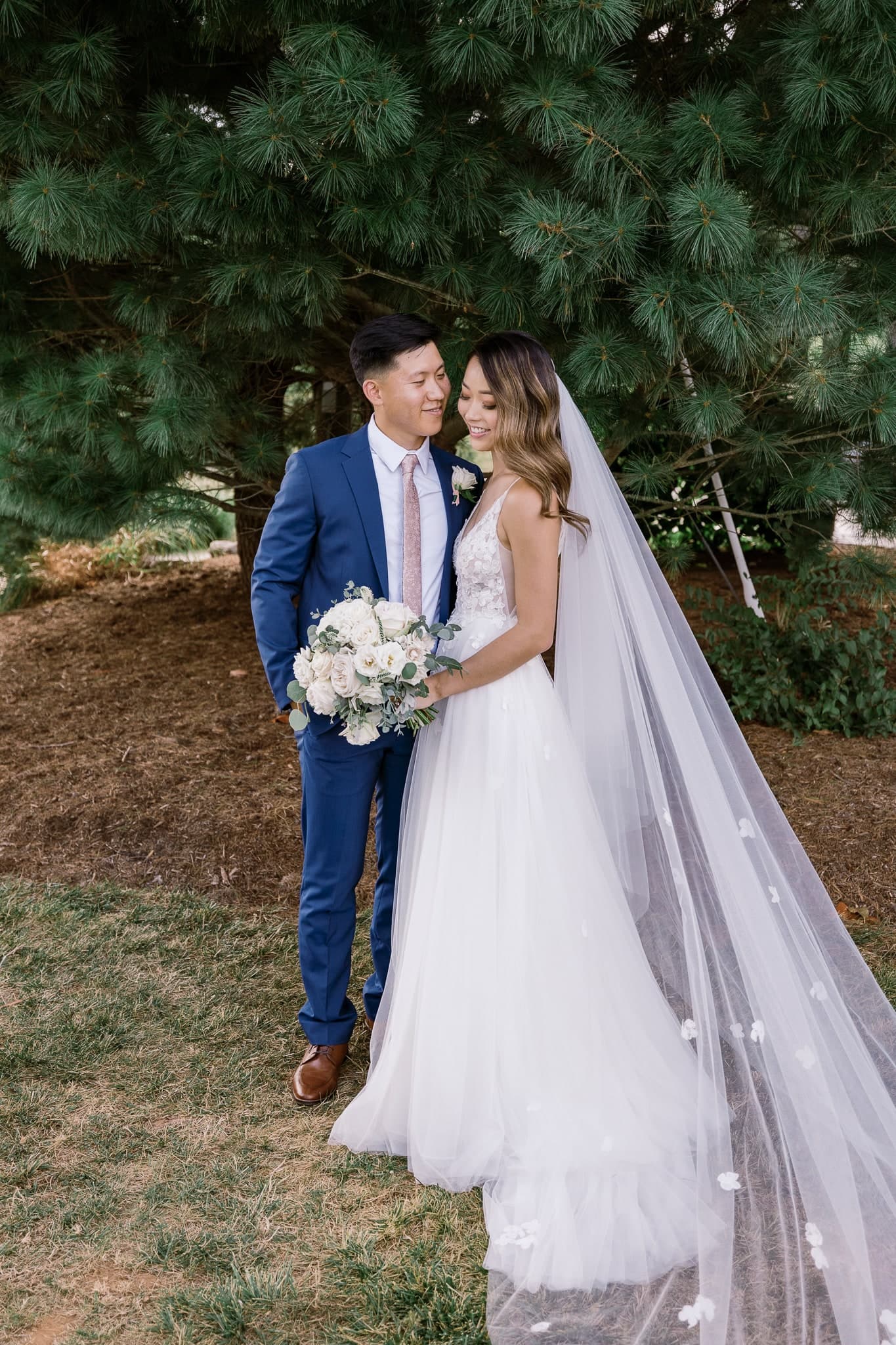 A kiss under the pines, veil trailing behind