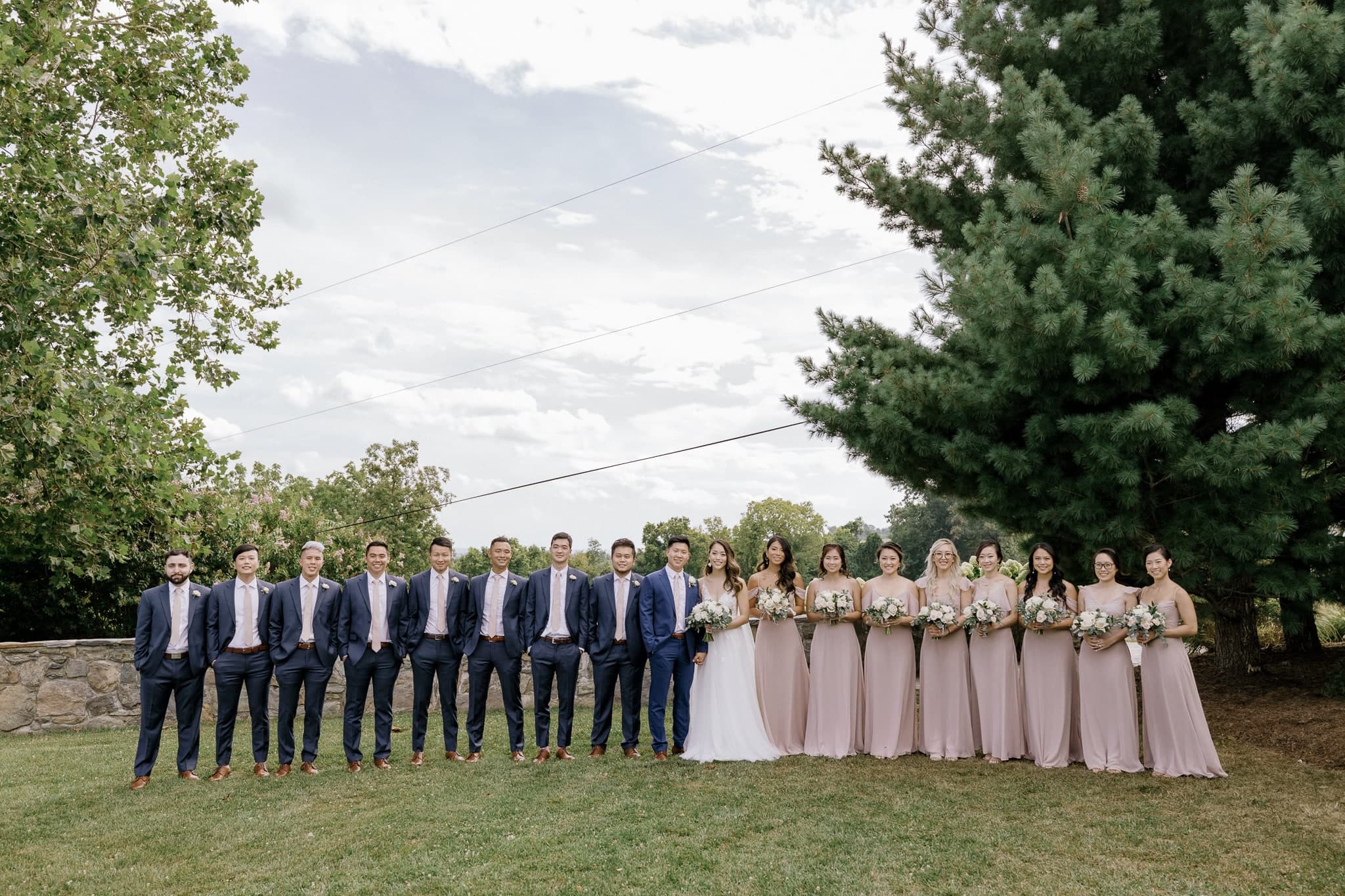 Full wedding party on the lawn