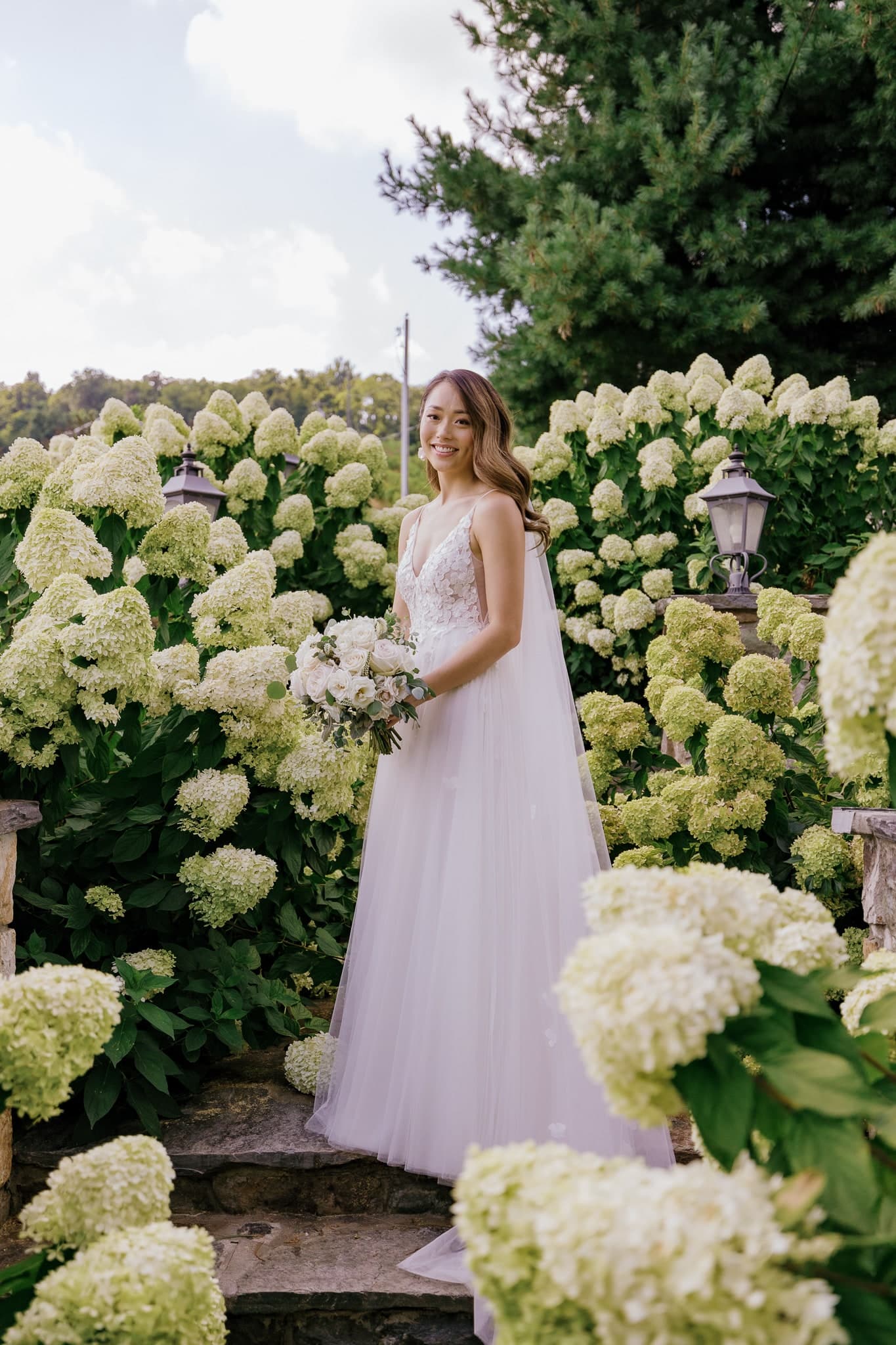 Bride among blooming hydrangeas