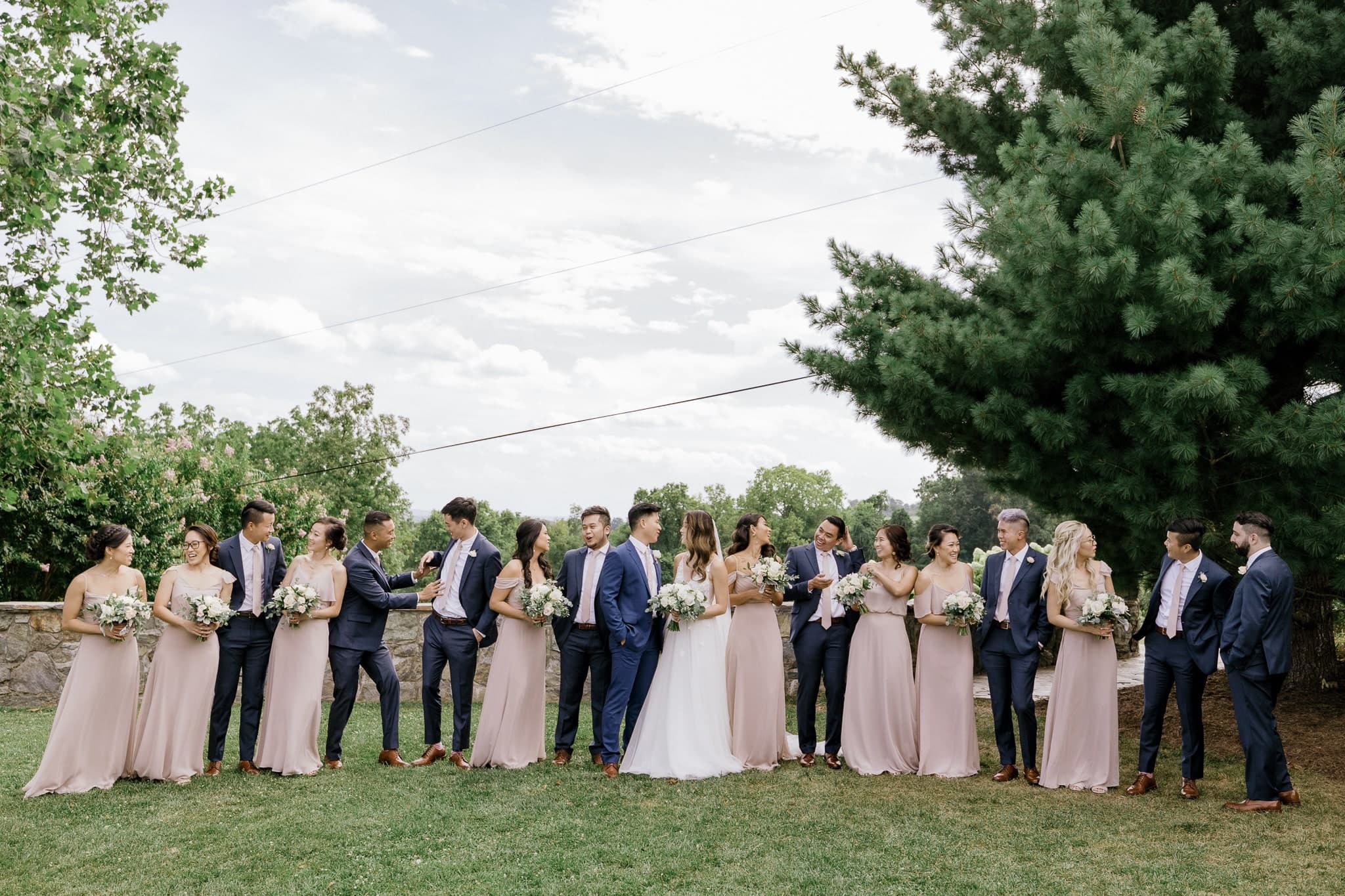 Wedding party gathered on the lawn
