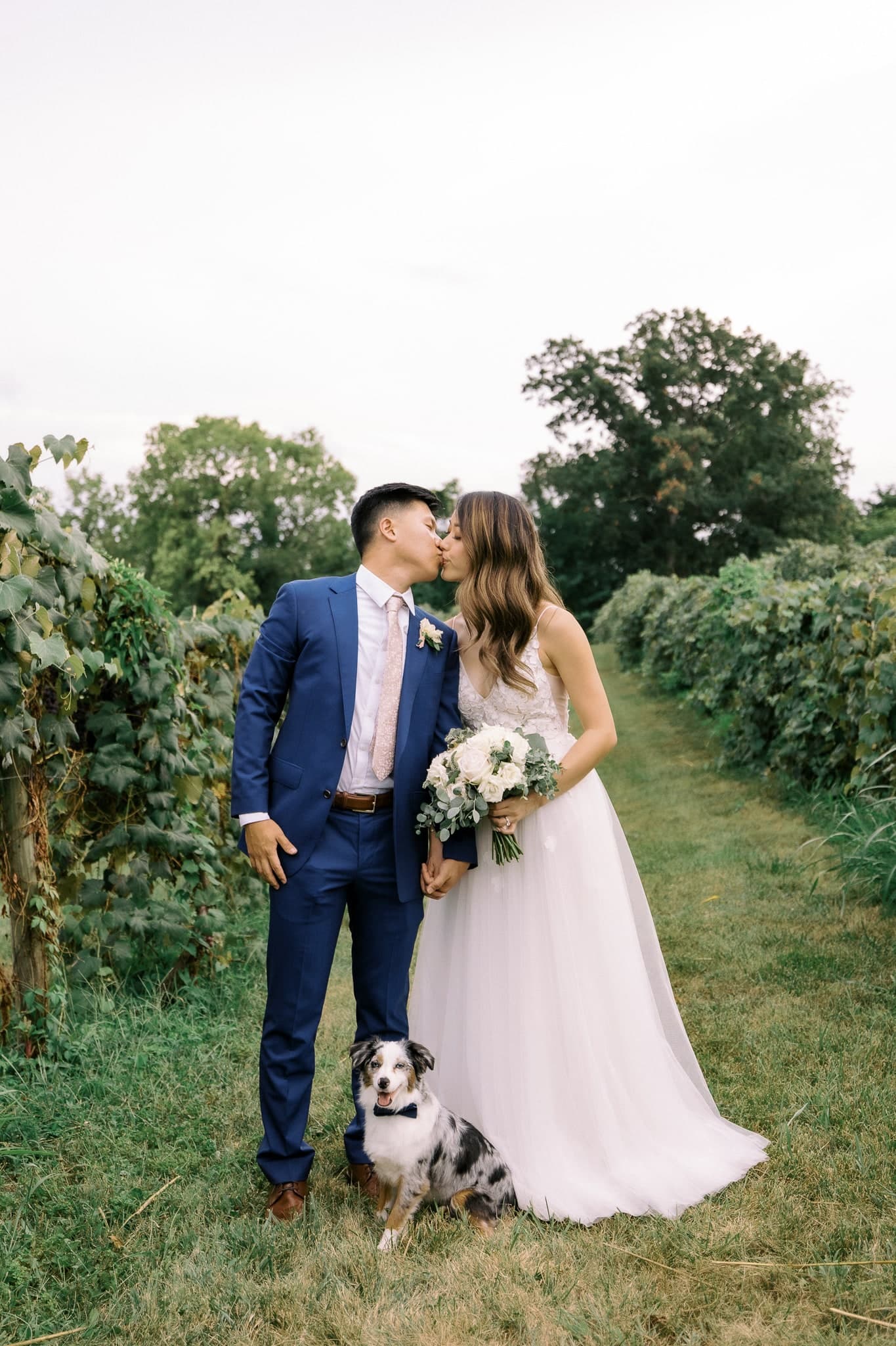 Couple kissing in the vineyard with their dog