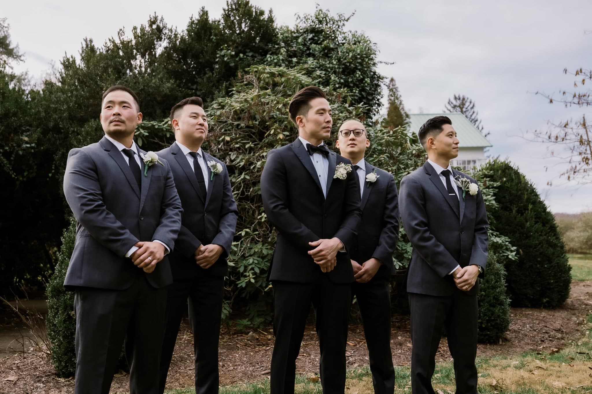Groomsmen in front of evergreen hedges